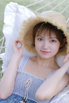 美国派2
